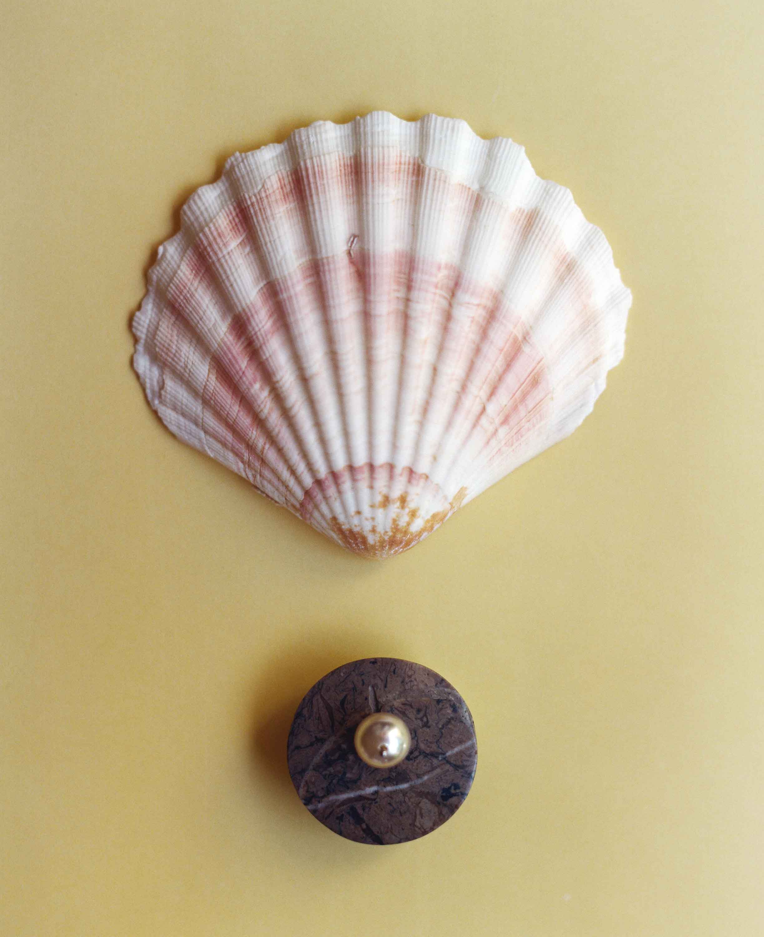 Seashell and decorative knob on a beige background